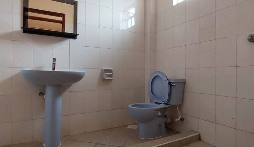 Lavender Properties 4 Bedroom Mansion For Sale in Rongai 5