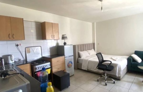 Lavender Properties Kirinyaga Road Studio 1