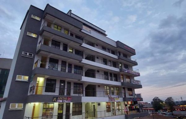 Offices for Rental in Kikuyu 1