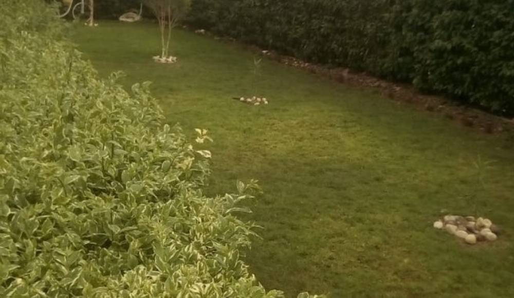 Lavender Properties Athi River TV Cable Swimming Pool Garden 24hrs CCTv Electricity Main Gated Community Lounge Borehole Water Ample Parking CCTV cameras installed Guard house 1