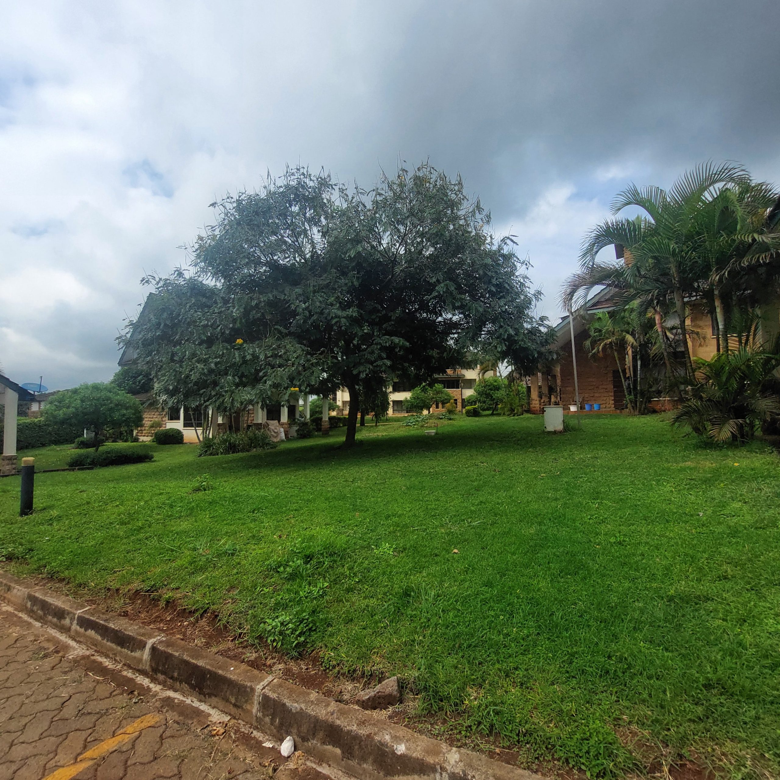 20250527_094239-min